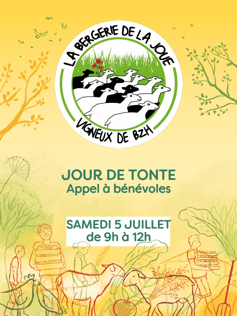 Le 5 juillet, c’était jour de tonte à La Bergerie de la Joue
